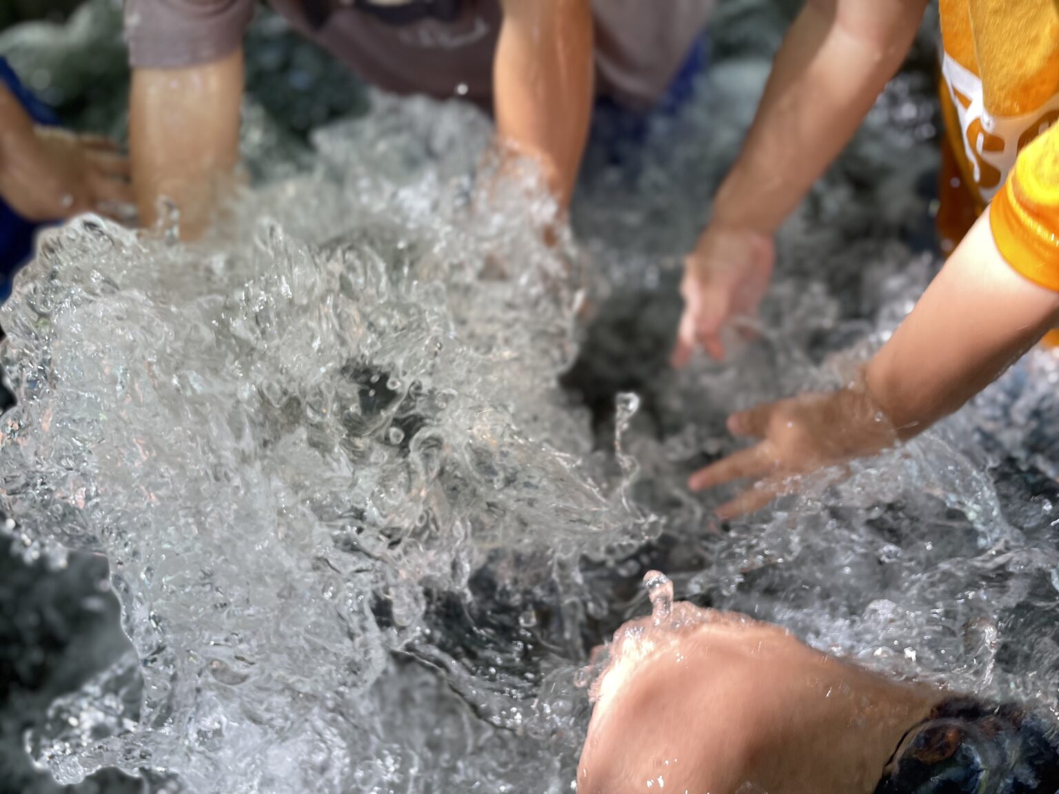 Naoki Yoshimura Official Website